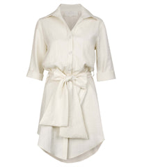 Bailey shirtdress